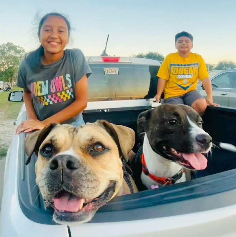 Florentina thumbnail 4