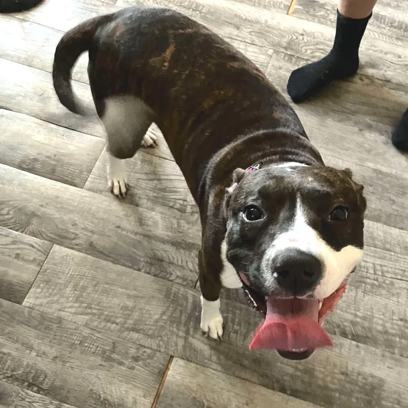 Florentina thumbnail 5