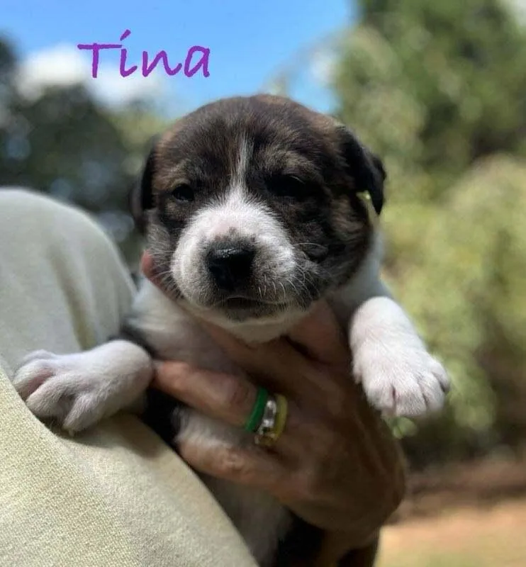 Tina thumbnail 3