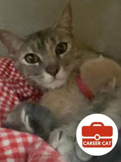 Kate