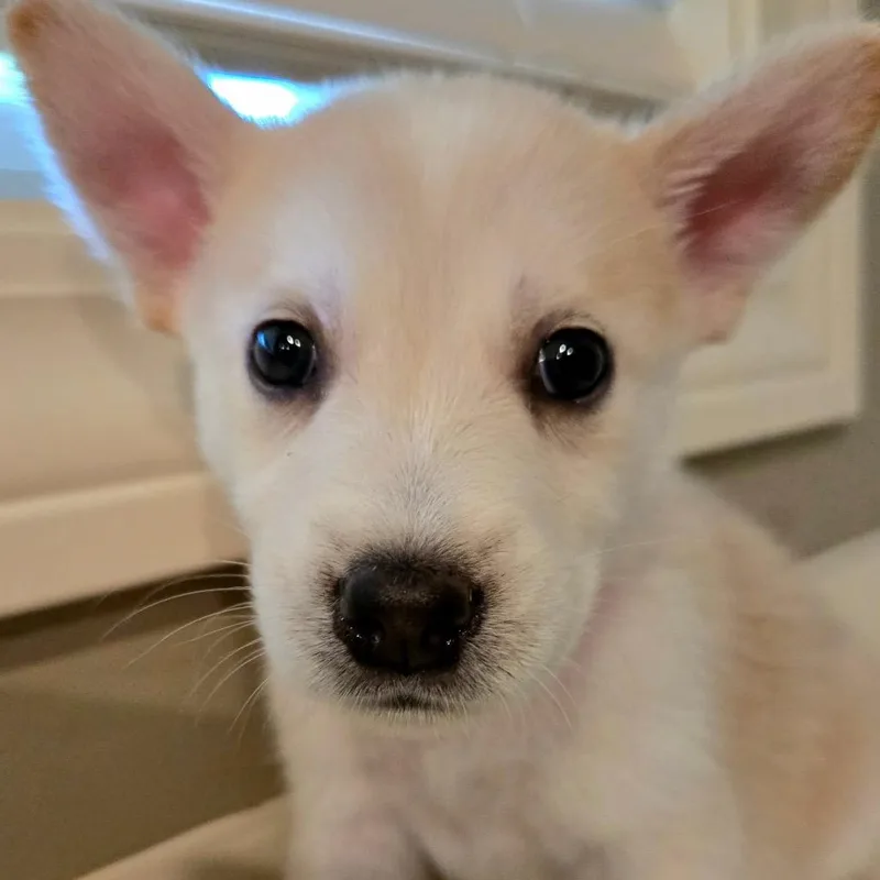 Betty thumbnail 5