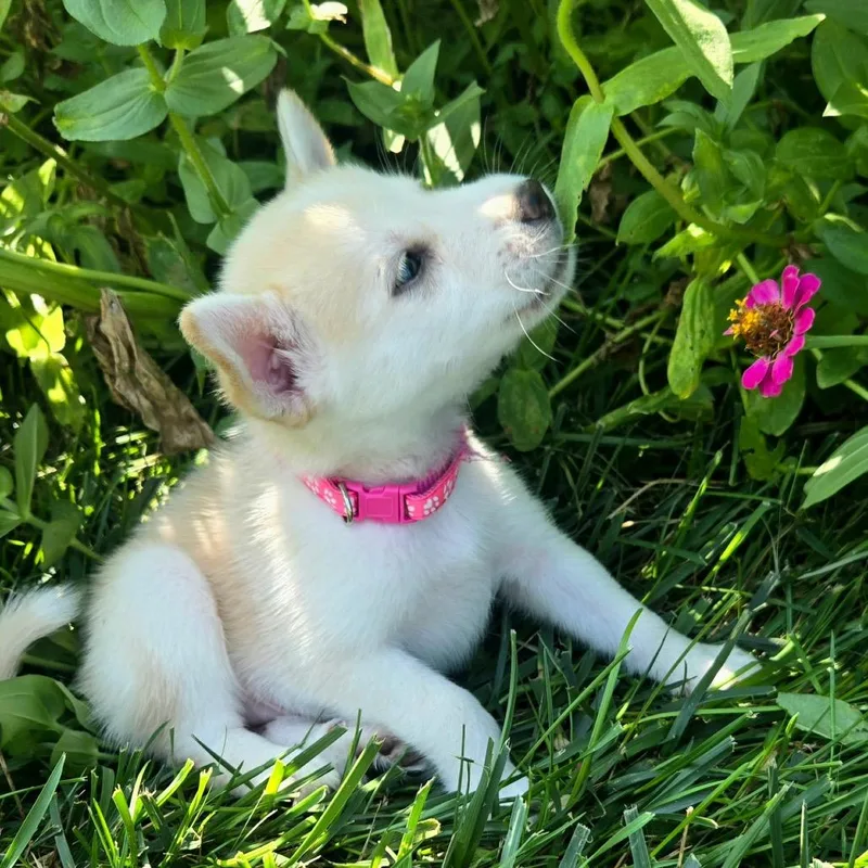 Betty thumbnail 6
