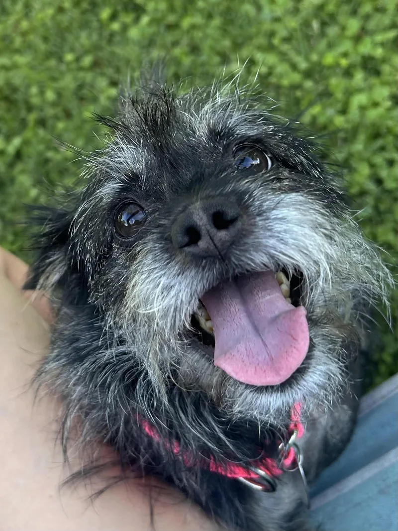 Izzy