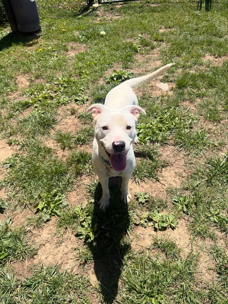 Ethel