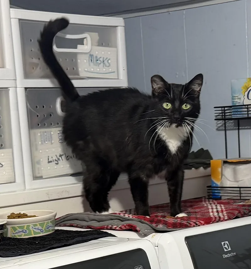Salem  a specialneeds thumbnail 6