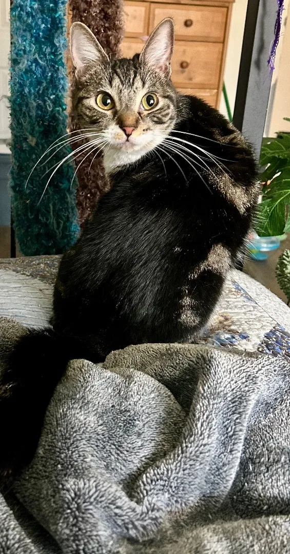 Tidal Wave Wanda thumbnail 2