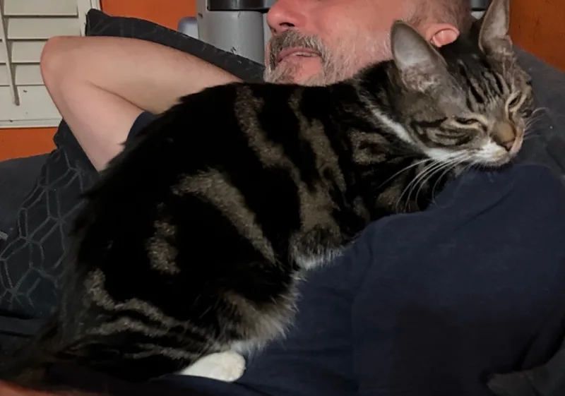 Tidal Wave Wanda thumbnail 3