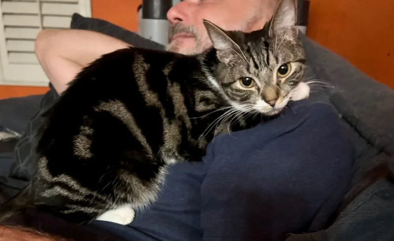 Tidal Wave Wanda thumbnail 4