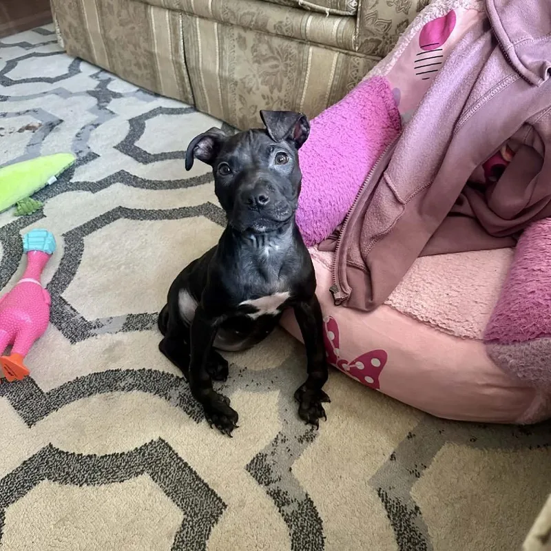 Luna