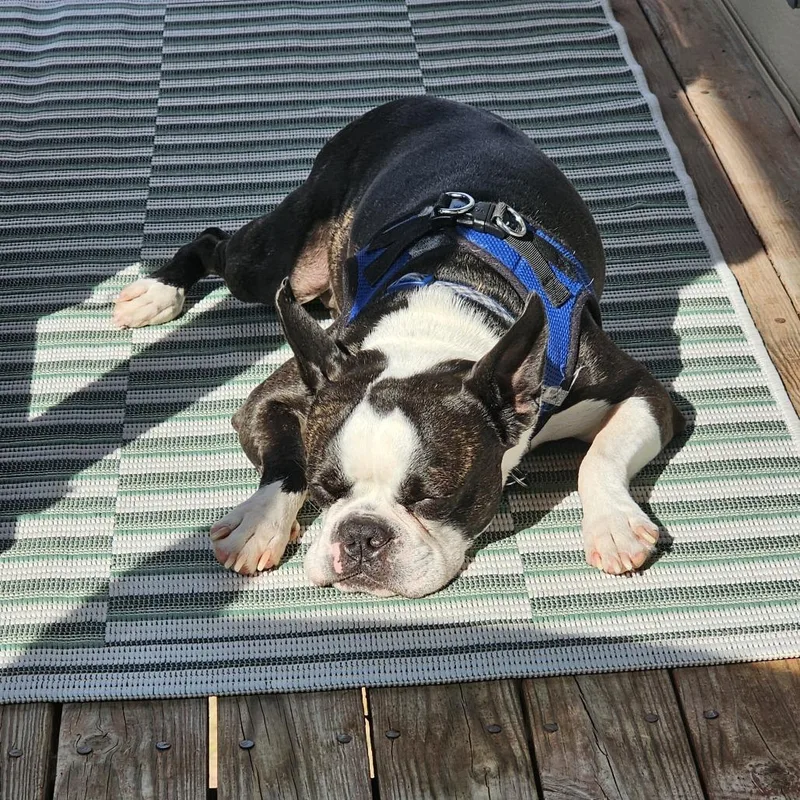 Meatball