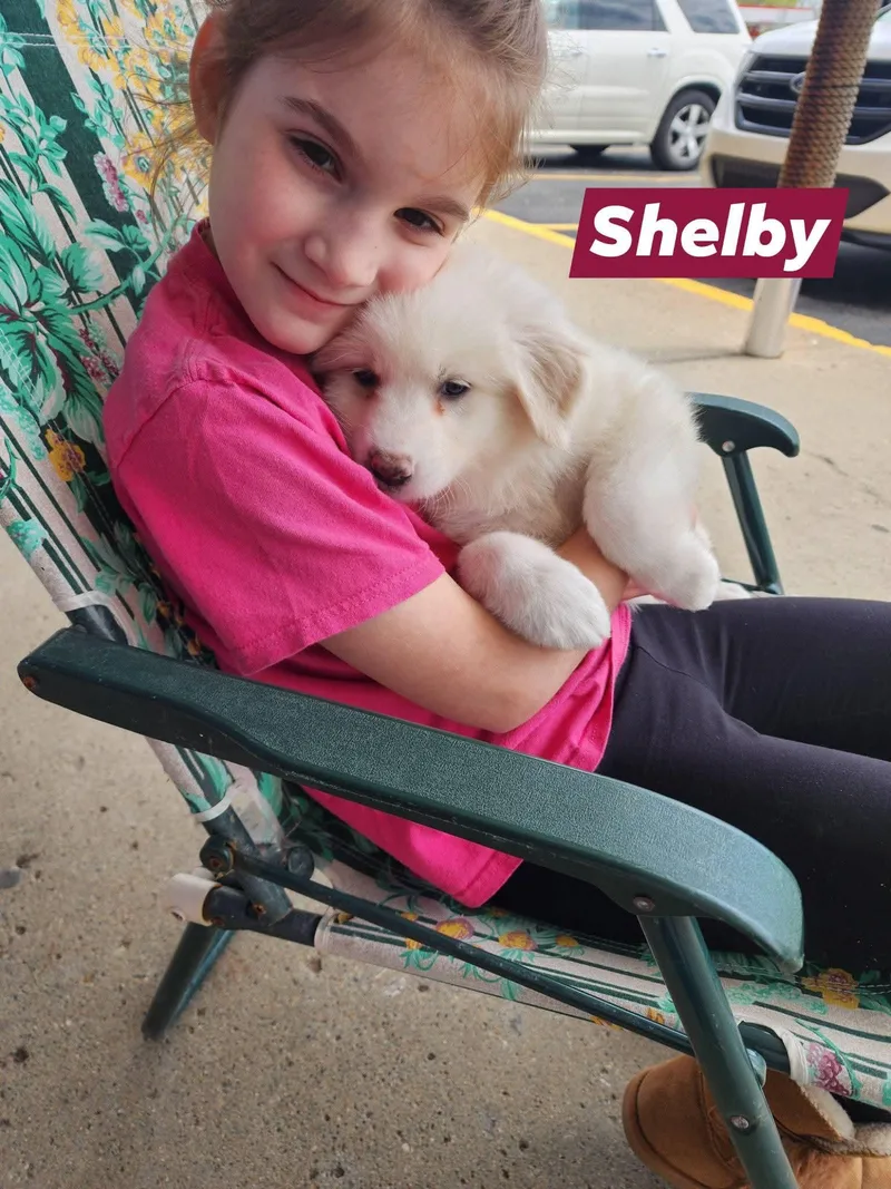 Shelby