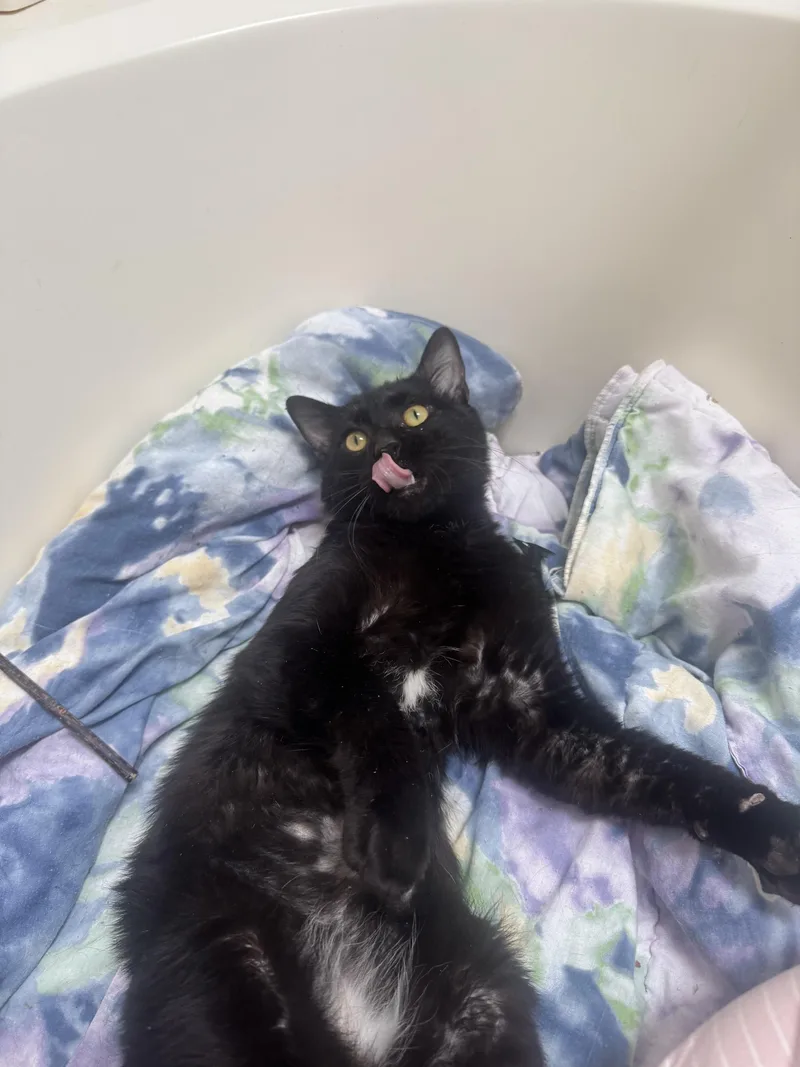 Zeus