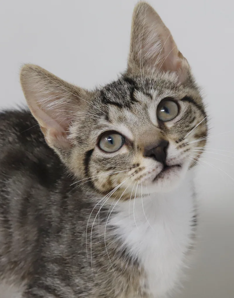 Rajesh is ridiculously sweet thumbnail 5
