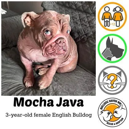 Mocha Java thumbnail 2