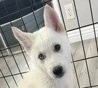 Elsa thumbnail 2
