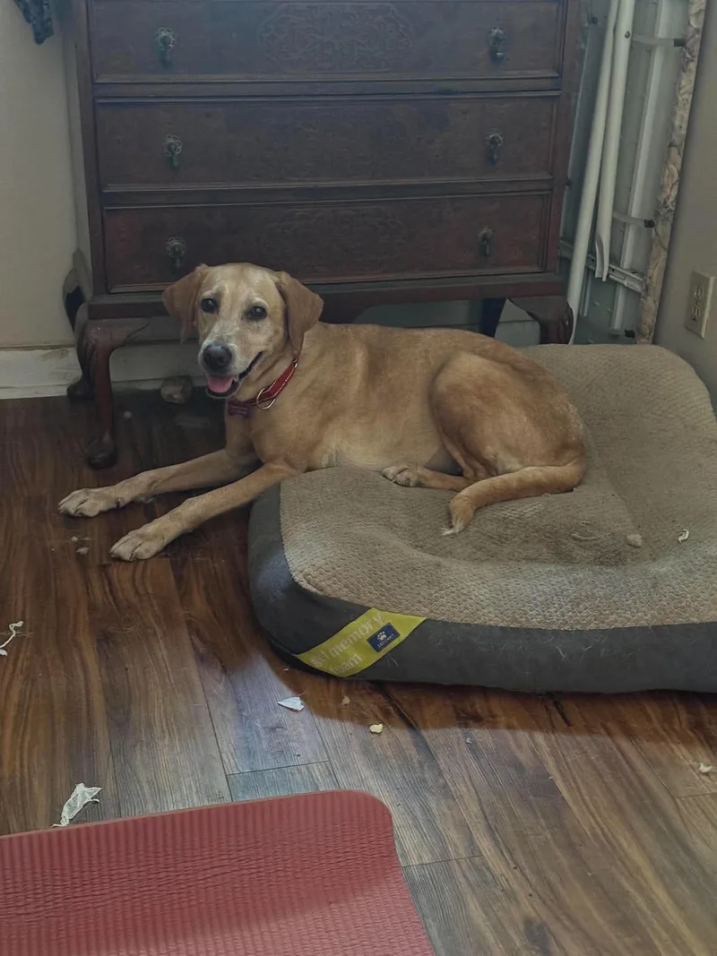 Daisy Mae thumbnail 2