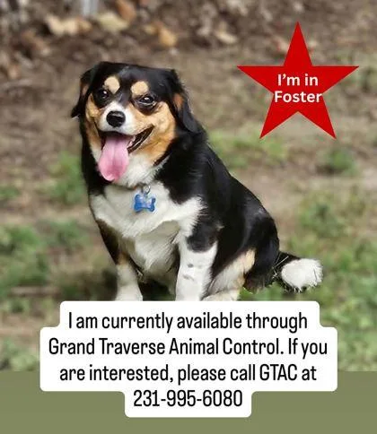 Lolo thumbnail 2