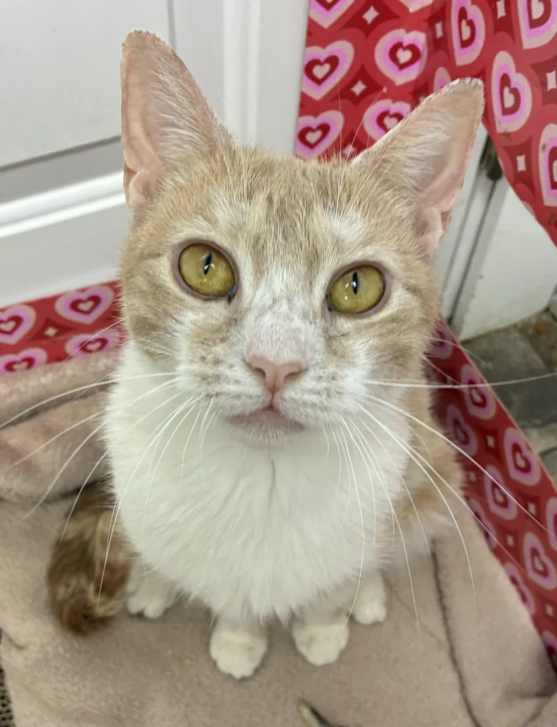 Minute Maid thumbnail 2