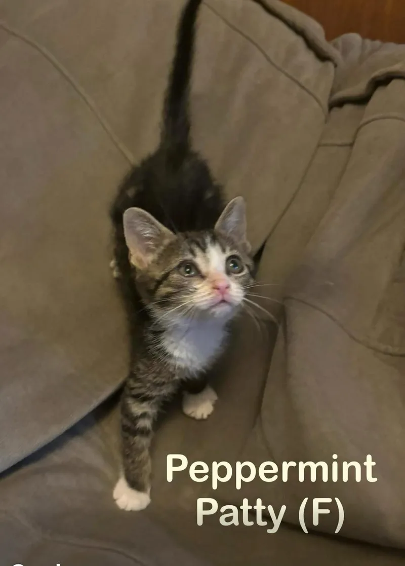 Peppermint Patty