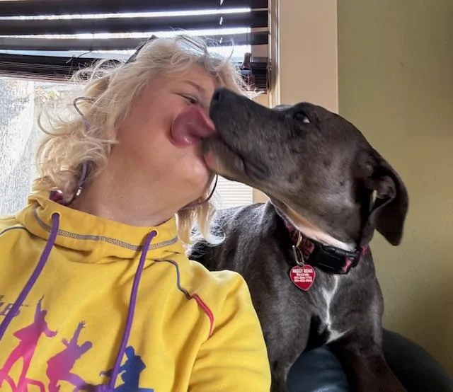 Stella thumbnail 4