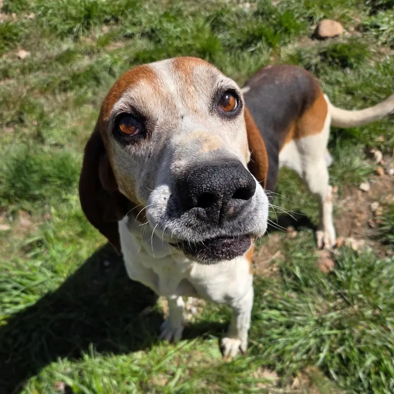 Darla thumbnail 3