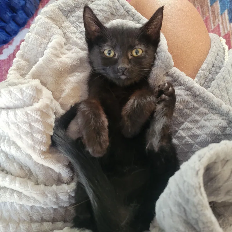 Cami And Cody Birgen thumbnail 4