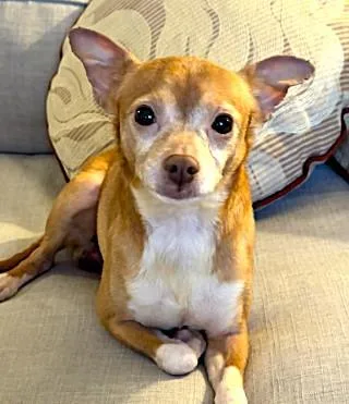 Bo
