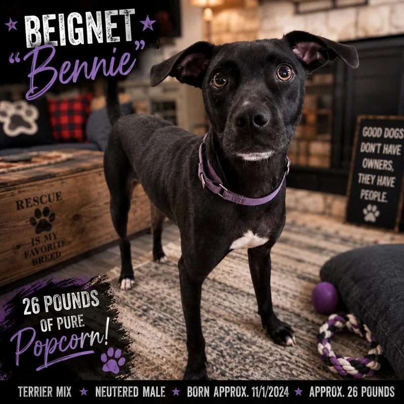 Beignet "Bennie" Boudreaux thumbnail 2