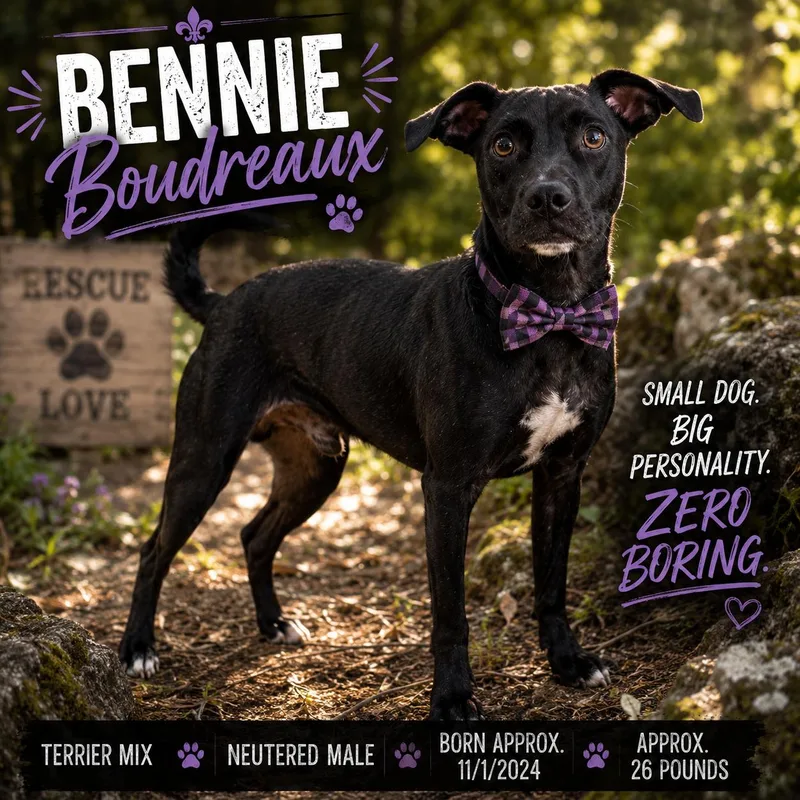 Beignet "Bennie" Boudreaux thumbnail 4