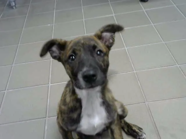 Mia
