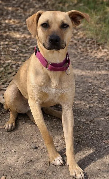 Felicity thumbnail 2