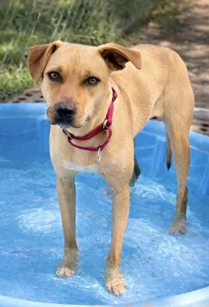 Felicity thumbnail 3