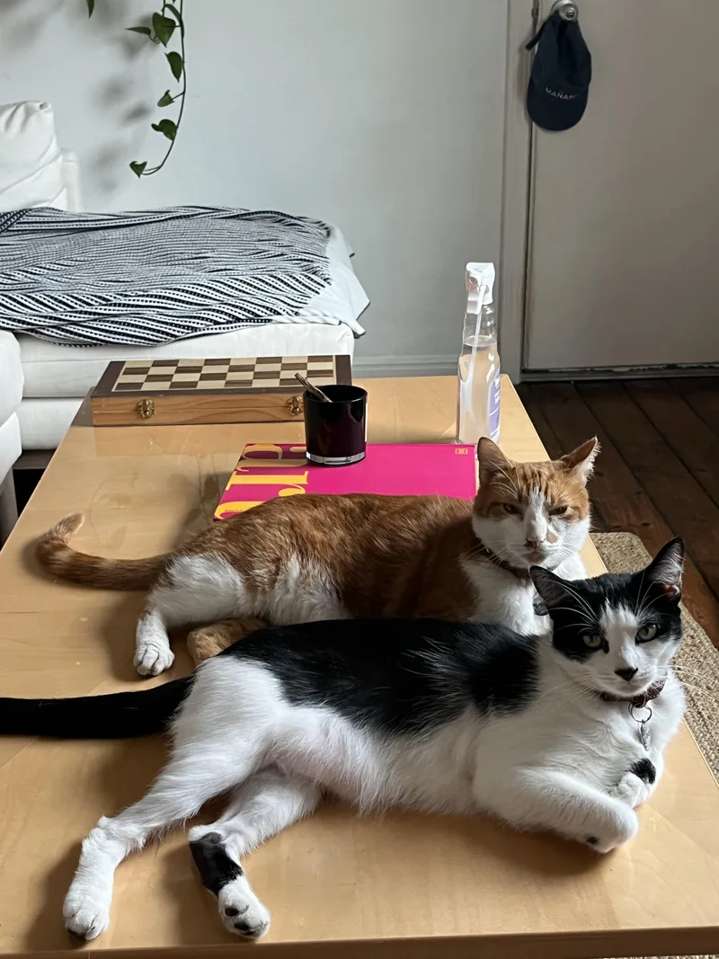 Ruth And Henry thumbnail 2