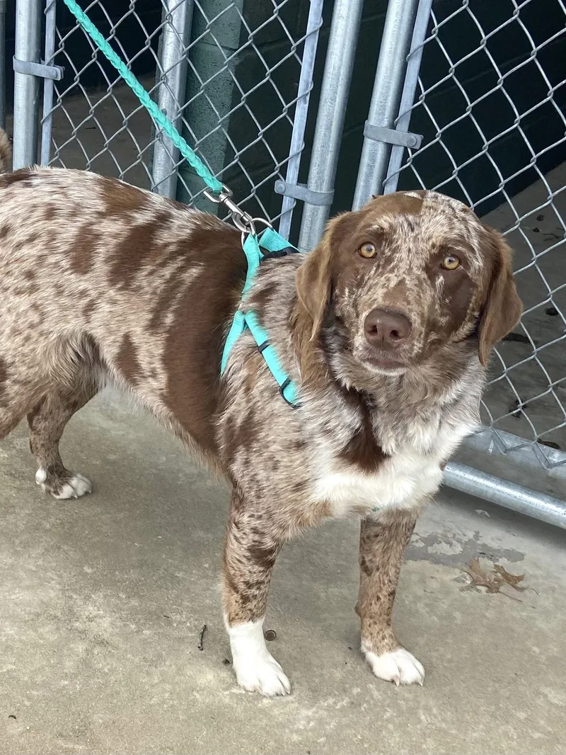 Mandy Mindful thumbnail 2