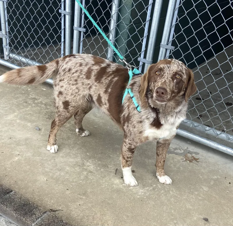 Mandy Mindful thumbnail 3