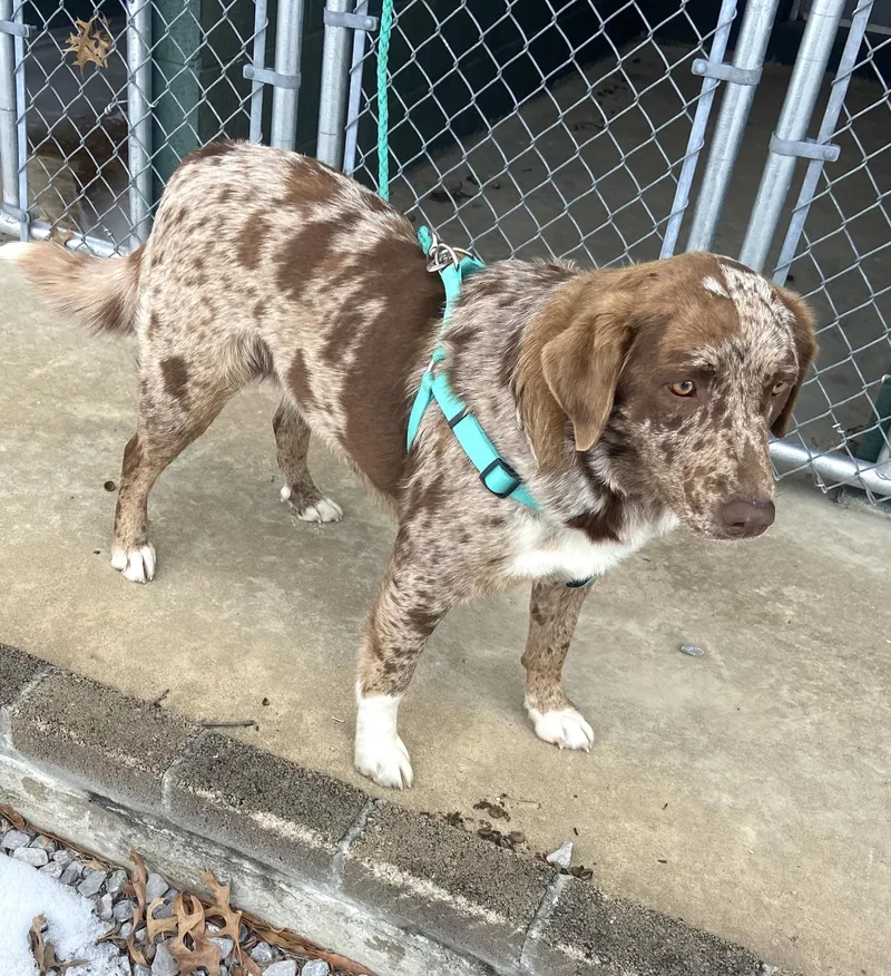 Mandy Mindful thumbnail 4