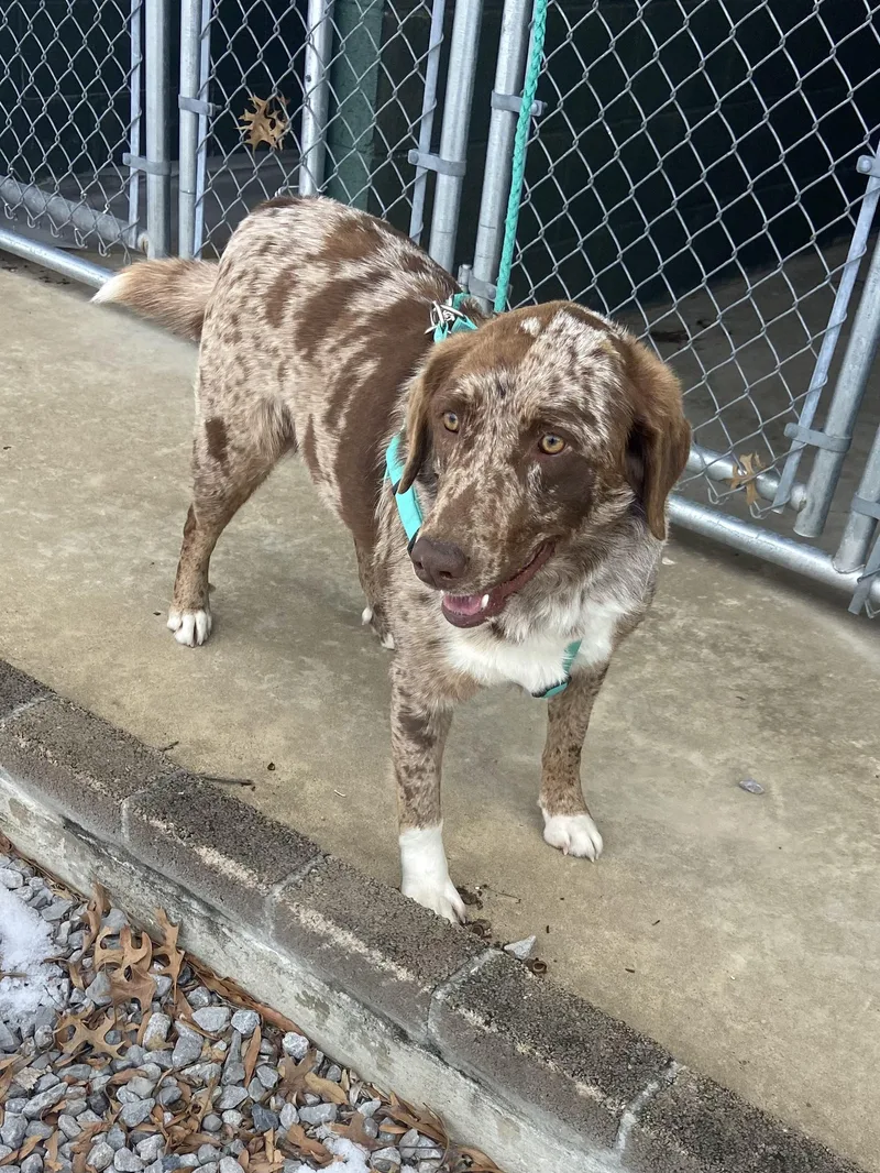 Mandy Mindful thumbnail 5