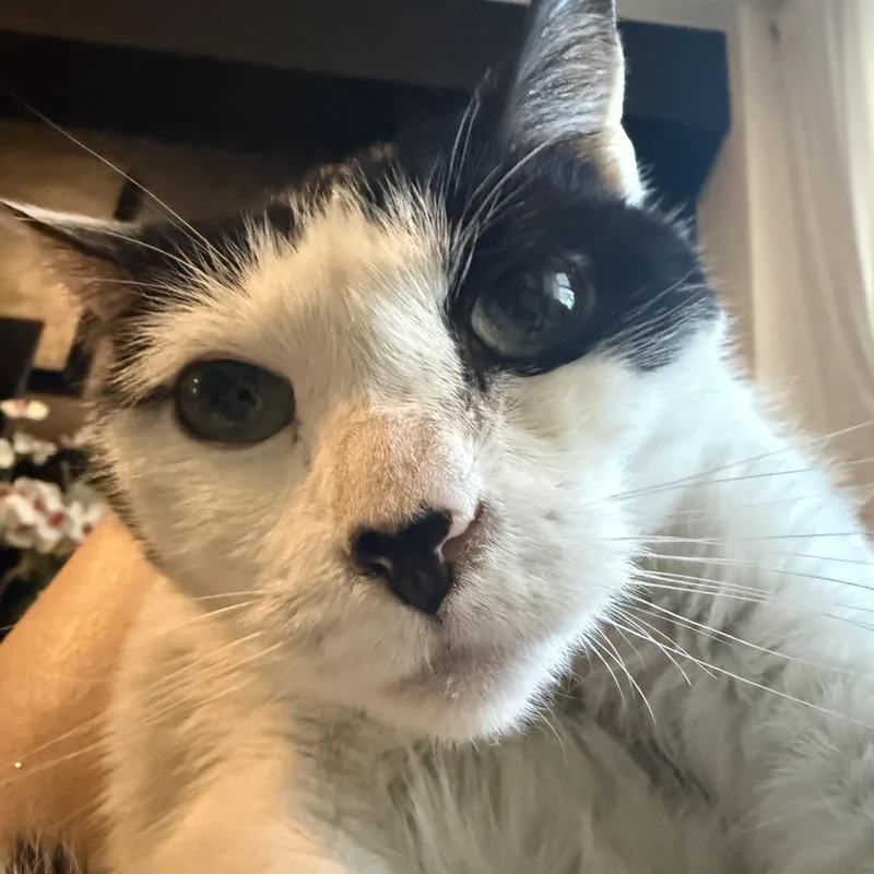 Lotti The Sweet Snuggler thumbnail 2