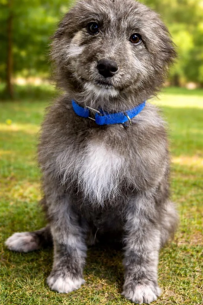 Benjamin Button thumbnail 3