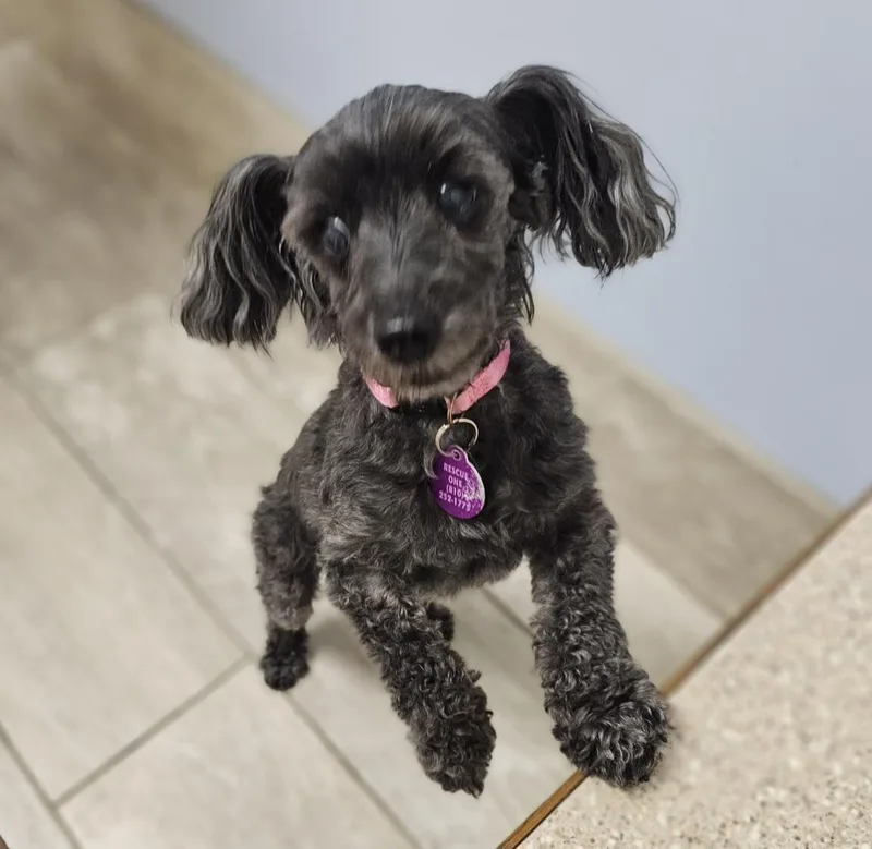 Molly thumbnail 6