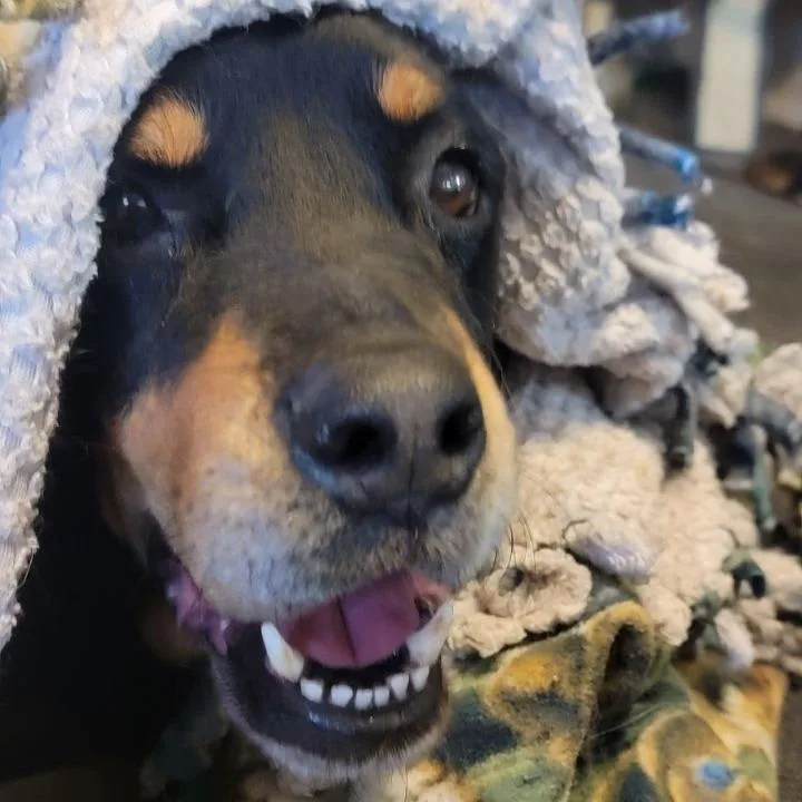 Pepsi Jum thumbnail 2