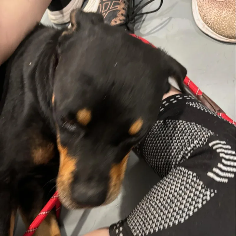 Pepsi Jum thumbnail 3