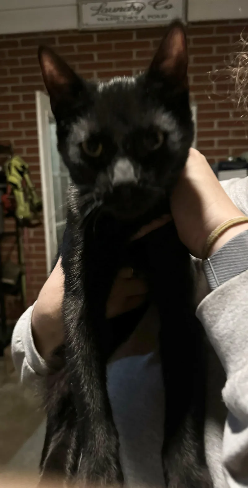 Jack Jones thumbnail 2