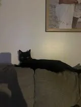 Jack Jones thumbnail 3