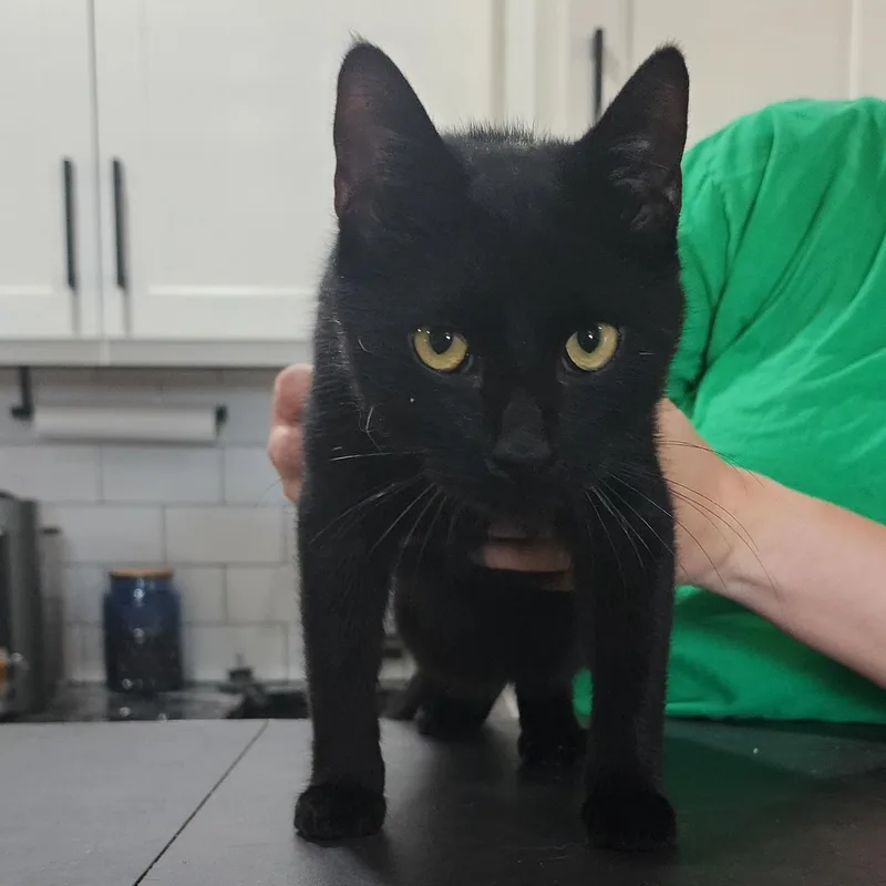 Jack Jones thumbnail 4