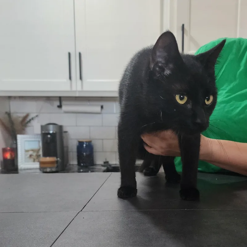 Jack Jones thumbnail 6