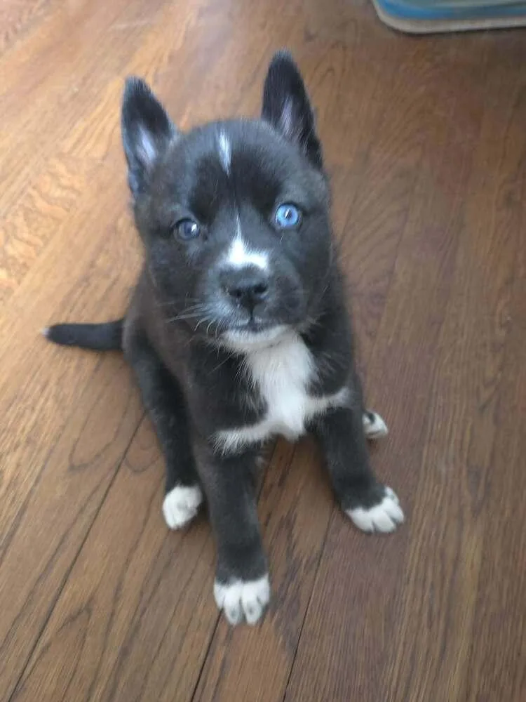 Mazeformally Andi thumbnail 2