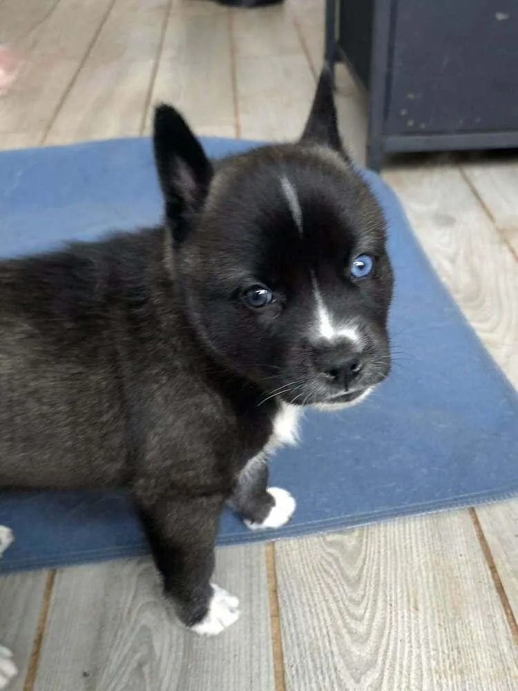 Mazeformally Andi thumbnail 3