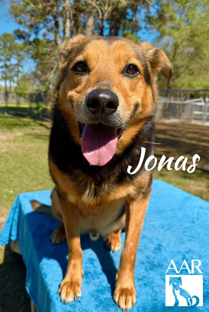 Jonas thumbnail 2