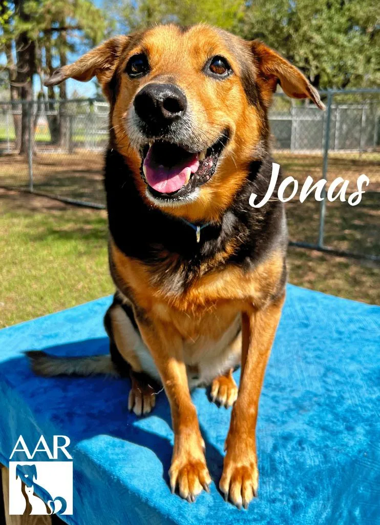 Jonas thumbnail 4
